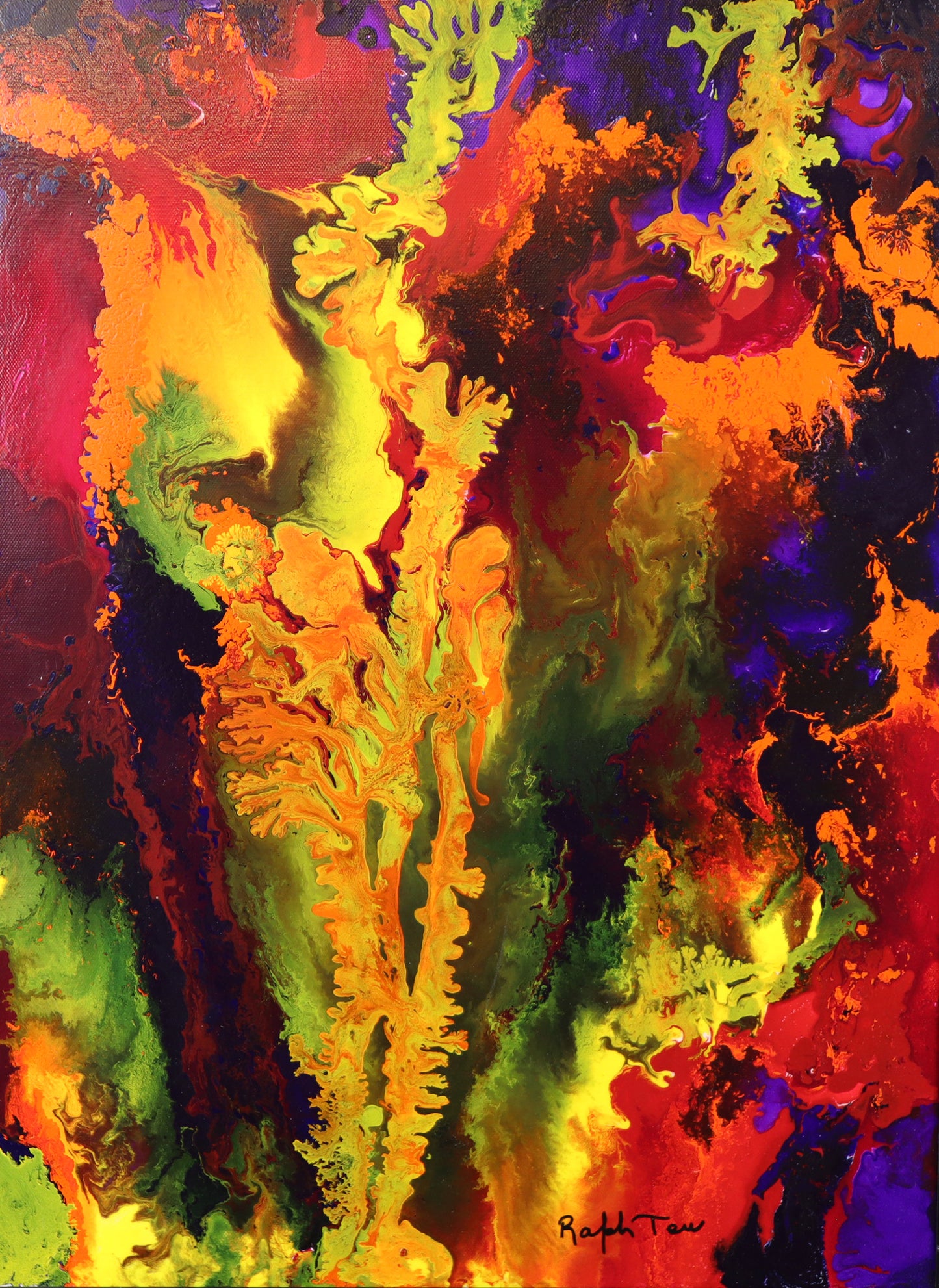 Coral Reef